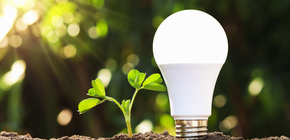 Led lightbulb green choice
