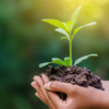 Growth sustainability